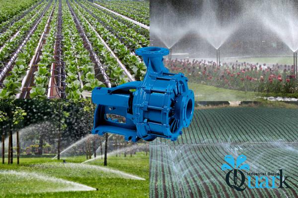 Irrigation Diaphragm Pump Wholesale Price 