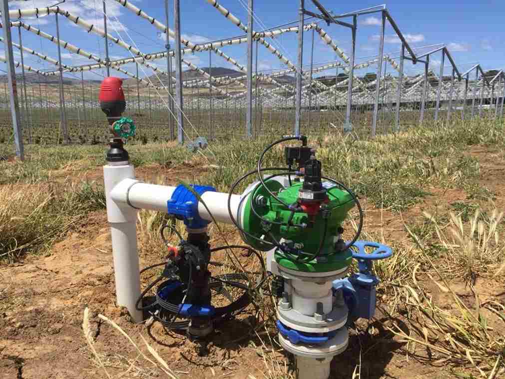 Hand Irrigation Pump Price in the Market